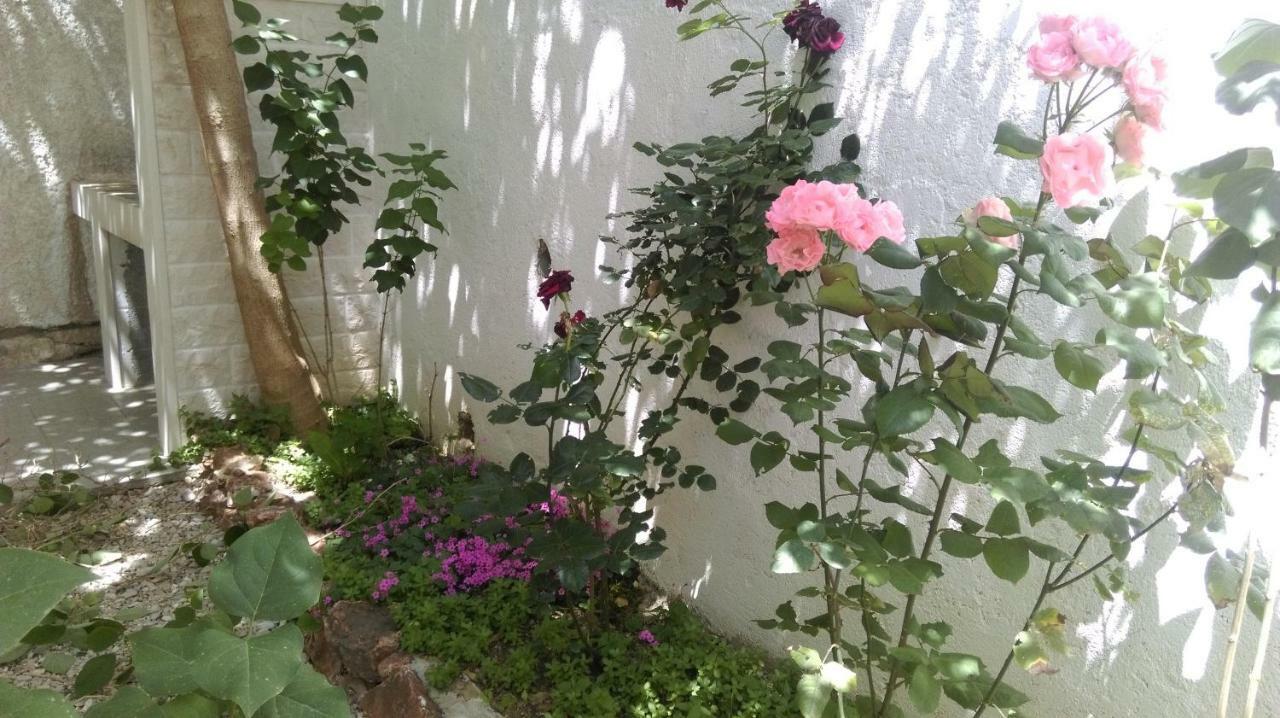 Apartman Restovic Бол Екстериор снимка