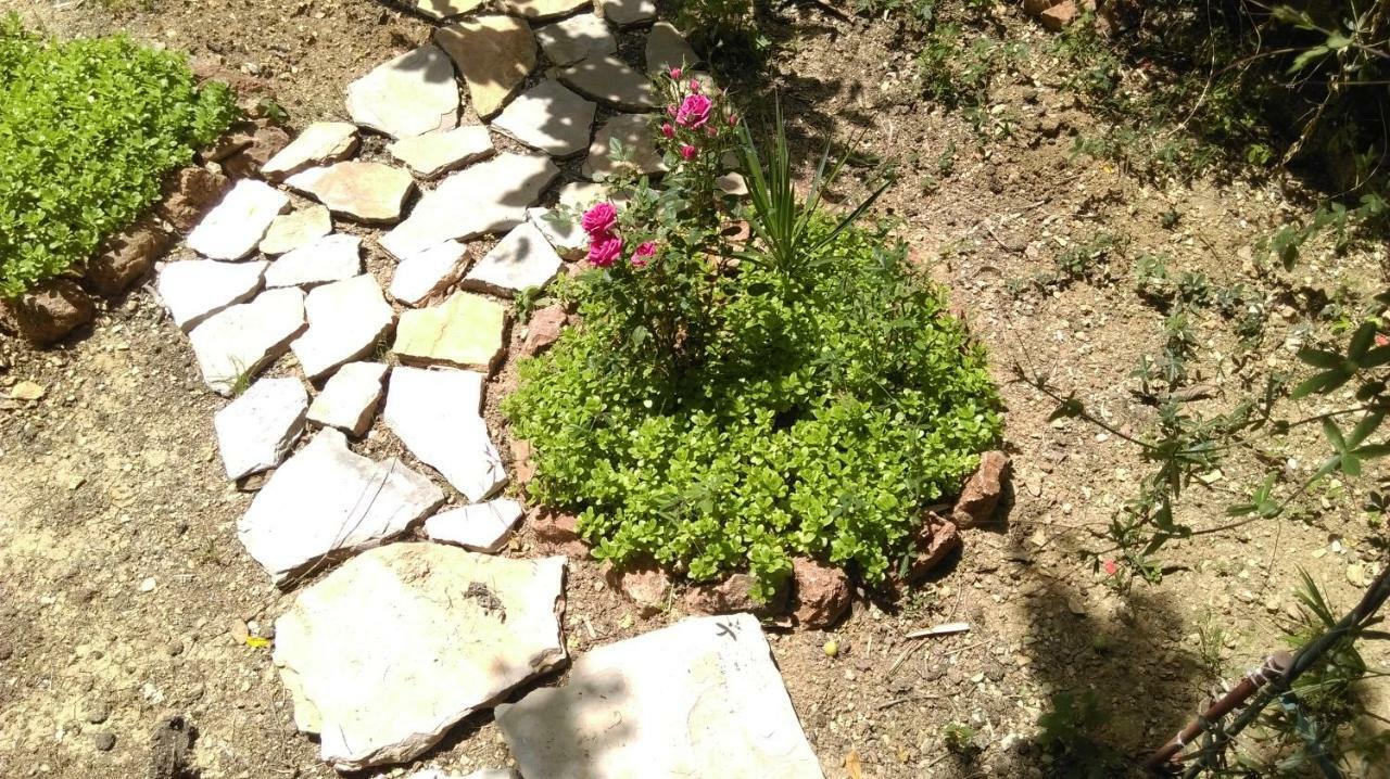 Apartman Restovic Бол Екстериор снимка